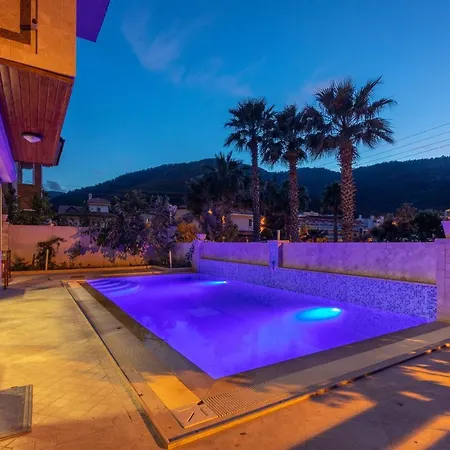 فيلة Mo Daily Weekly *